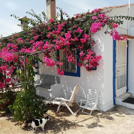 Finca La Joya 토레블랑카 외부 사진