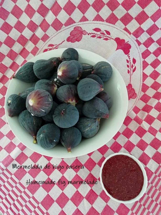 Finca La Joya 토레블랑카 외부 사진