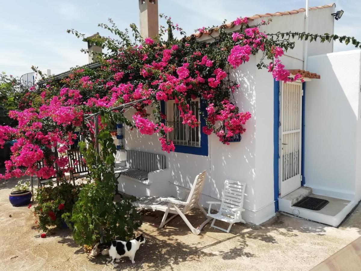 Finca La Joya 토레블랑카 외부 사진
